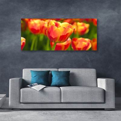 Cuadro en lienzo canvas Tulipanes flores planta