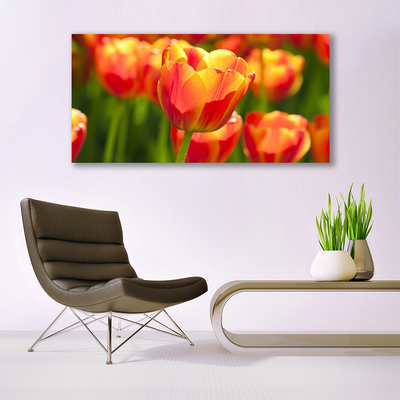 Cuadro en lienzo canvas Tulipanes flores planta