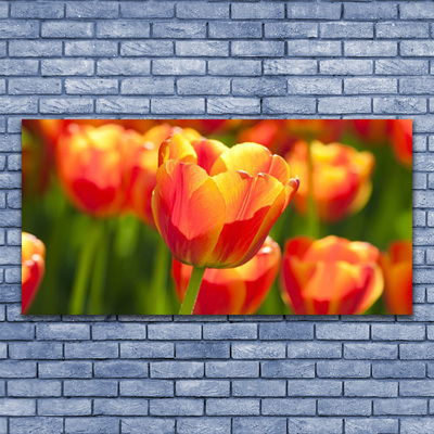 Cuadro en lienzo canvas Tulipanes flores planta