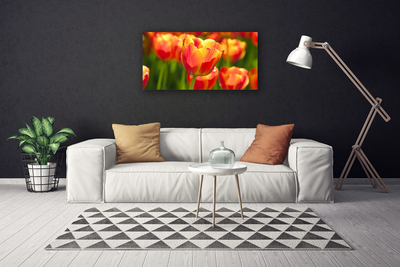 Cuadro en lienzo canvas Tulipanes flores planta