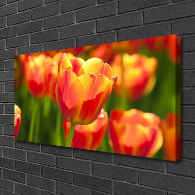 Cuadro en lienzo canvas Tulipanes flores planta