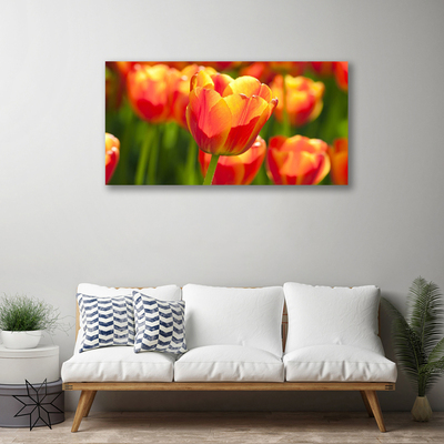 Cuadro en lienzo canvas Tulipanes flores planta