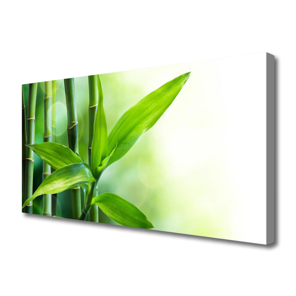 Cuadro en lienzo canvas Bambú hoja planta naturaleza
