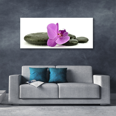 Cuadro en lienzo canvas Flor orquídea