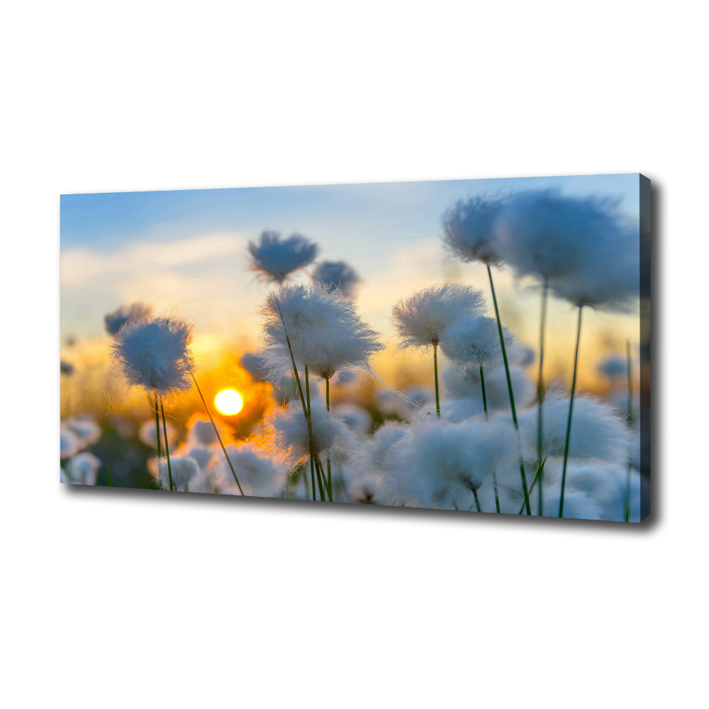Cuadro en lienzo canvas Flores planta naturaleza