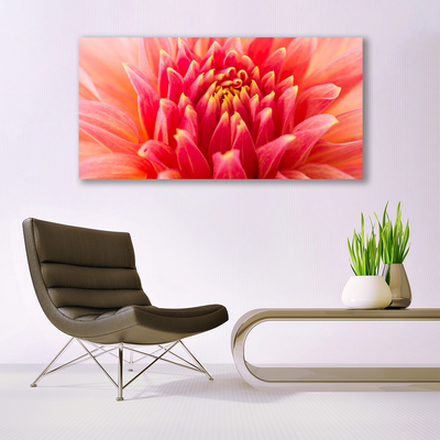 Cuadro en lienzo canvas Flor planta naturaleza