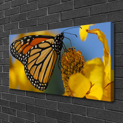 Cuadro en lienzo canvas Mariposa flor naturaleza