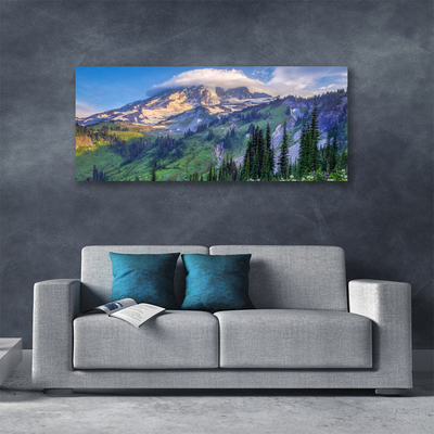 Cuadro en lienzo canvas Monte bosque paisaje naturaleza