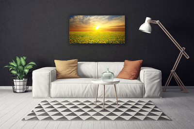 Cuadro en lienzo canvas Sol prado girasoles