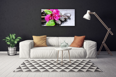 Cuadro en lienzo canvas Flor orquídea planta