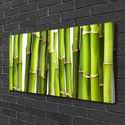 Cuadro en lienzo canvas Bambú planta naturaleza