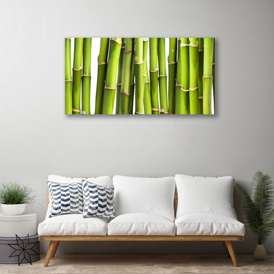 Cuadro en lienzo canvas Bambú planta naturaleza