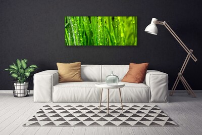 Cuadro en lienzo canvas Hierba planta naturaleza