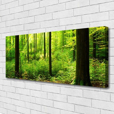 Cuadro en lienzo canvas Bosque verde árboles naturaleza