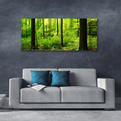 Cuadro en lienzo canvas Bosque verde árboles naturaleza