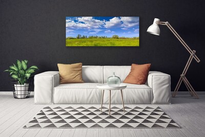 Cuadro en lienzo canvas Prado hierba cielo paisaje