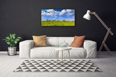 Cuadro en lienzo canvas Prado hierba cielo paisaje