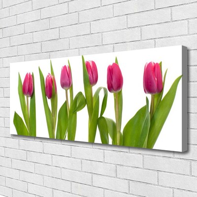 Cuadro en lienzo canvas Tulipanes flores planta