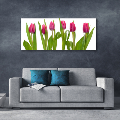 Cuadro en lienzo canvas Tulipanes flores planta