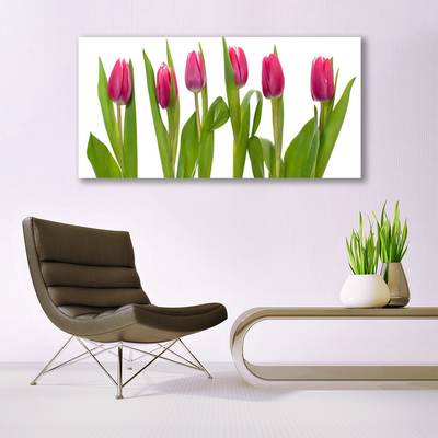 Cuadro en lienzo canvas Tulipanes flores planta