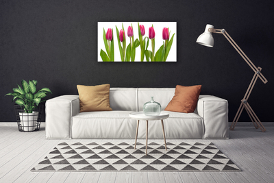 Cuadro en lienzo canvas Tulipanes flores planta