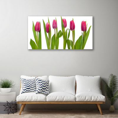 Cuadro en lienzo canvas Tulipanes flores planta