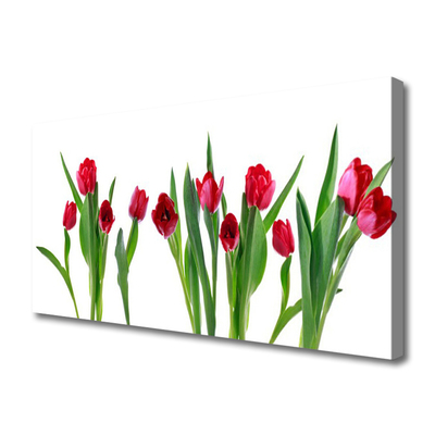 Cuadro en lienzo canvas Tulipanes flores planta