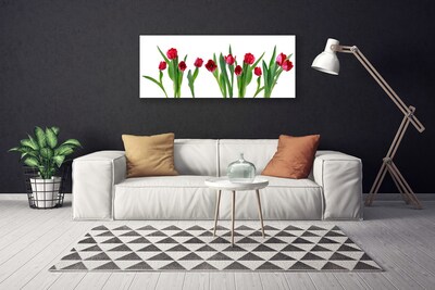 Cuadro en lienzo canvas Tulipanes flores planta