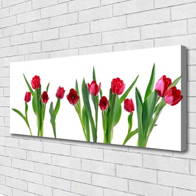 Cuadro en lienzo canvas Tulipanes flores planta