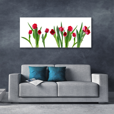 Cuadro en lienzo canvas Tulipanes flores planta