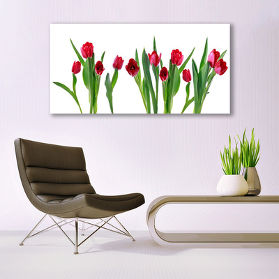 Cuadro en lienzo canvas Tulipanes flores planta