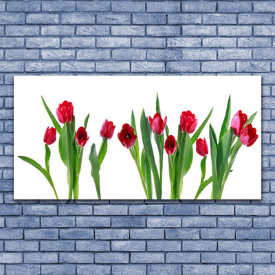 Cuadro en lienzo canvas Tulipanes flores planta