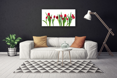 Cuadro en lienzo canvas Tulipanes flores planta