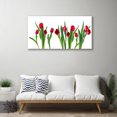 Cuadro en lienzo canvas Tulipanes flores planta