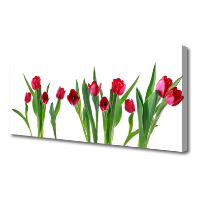 Cuadro en lienzo canvas Tulipanes flores planta