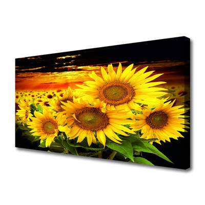 Cuadro en lienzo canvas Girasol flor planta