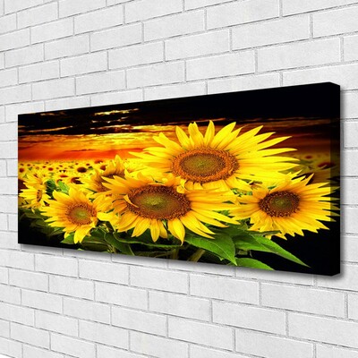 Cuadro en lienzo canvas Girasol flor planta