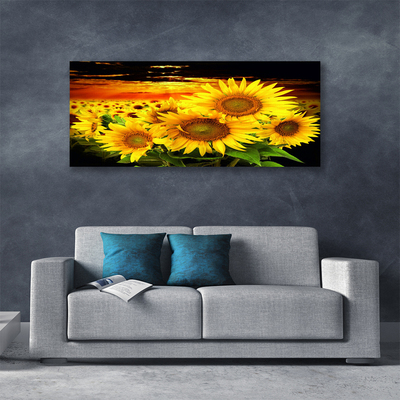 Cuadro en lienzo canvas Girasol flor planta