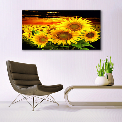 Cuadro en lienzo canvas Girasol flor planta