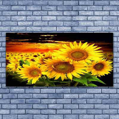 Cuadro en lienzo canvas Girasol flor planta