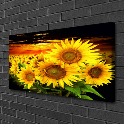 Cuadro en lienzo canvas Girasol flor planta