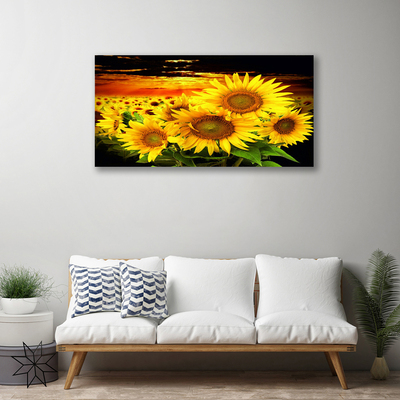 Cuadro en lienzo canvas Girasol flor planta