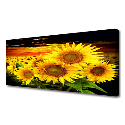 Cuadro en lienzo canvas Girasol flor planta