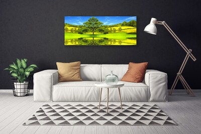 Cuadro en lienzo canvas Prado árbol naturaleza