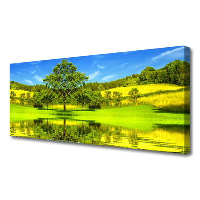 Cuadro en lienzo canvas Prado árbol naturaleza