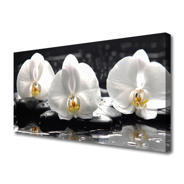 Cuadro en lienzo canvas Flor orquídea blanca