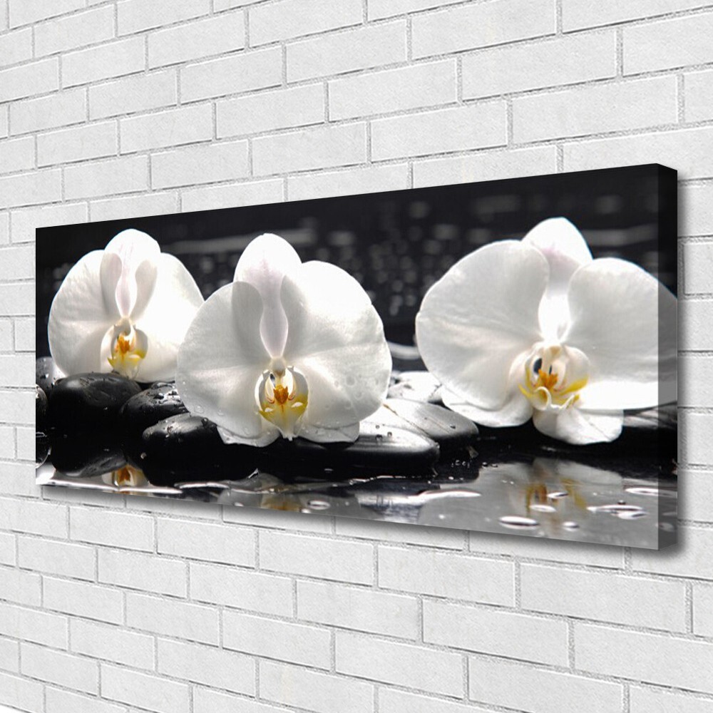 007953b - Cuadro en lienzo no tejido con diseño de flores y orquídeas para  pared, formato XXL, impresiones artísticas para decoración del hogar