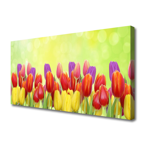 Cuadro en lienzo canvas Tulipanes flores planta