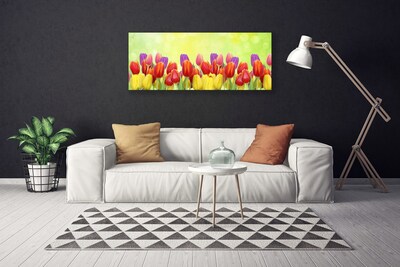 Cuadro en lienzo canvas Tulipanes flores planta