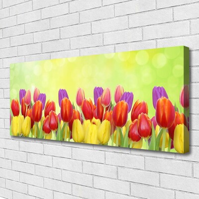 Cuadro en lienzo canvas Tulipanes flores planta